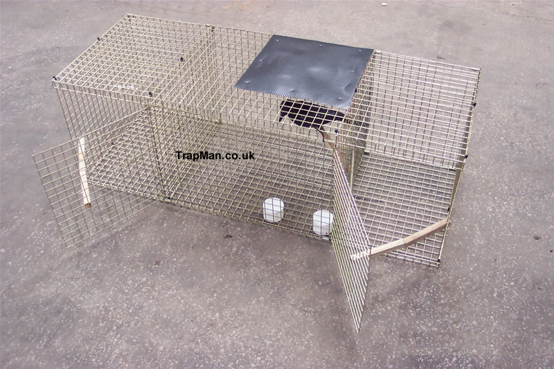 Larsen crow trap, twin catch,  side entry