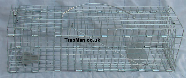 Folding squirrel trap, TrapMan folding squirrel trap, quick to set up, easy to use, an effective squirrel trap that catches squirrel's without harm. 