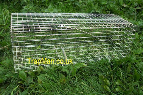 pack of four pro gold rabbit traps
