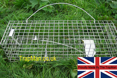 trap man squirrel trap