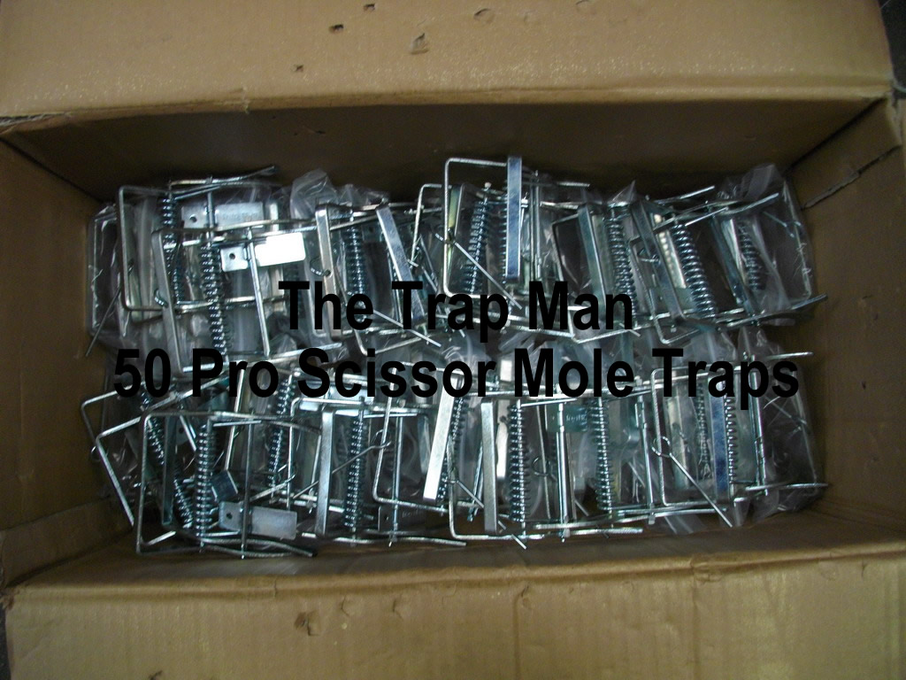 50-pro-scissor-mole-traps.jpg
