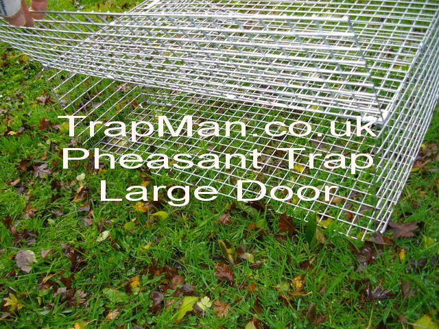 28"x28"x10" approximately, will be supplied built up & ready to catch pheasants, capable of multi catching pheasants, up to five + pheasants at each setting, easy empting using the wide drop down side mesh panel.