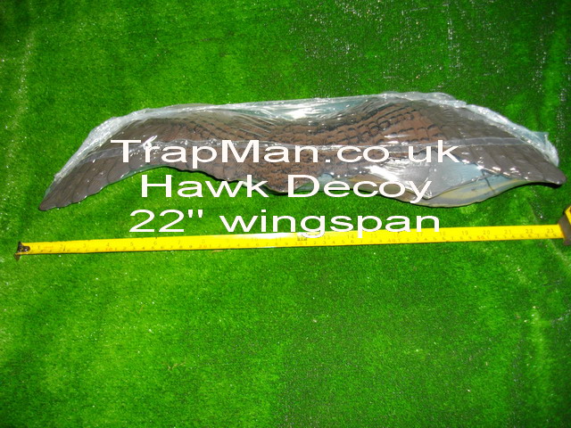 22" wingspan hawk decoy