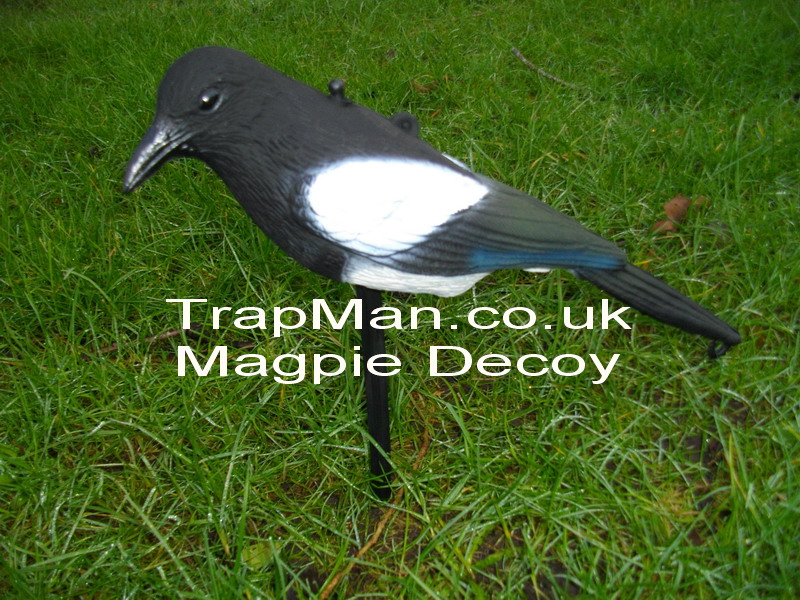 Used to scare off smaller birds can be hung from fishing line or fixed to a small cane, comes with plastic ground spike which allows the magpie to swivel round