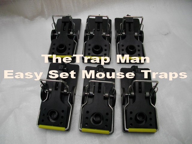 Mouse trap, plastic easyset mouse trap, kill type mouse traps