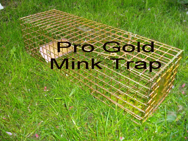 GROUND BEAVER CASTOR LURE BAIT MUSKRAT FOX COYOTE MINK TRAP TRAPPING NEW  SALE - Mehfil Indian Restaurant