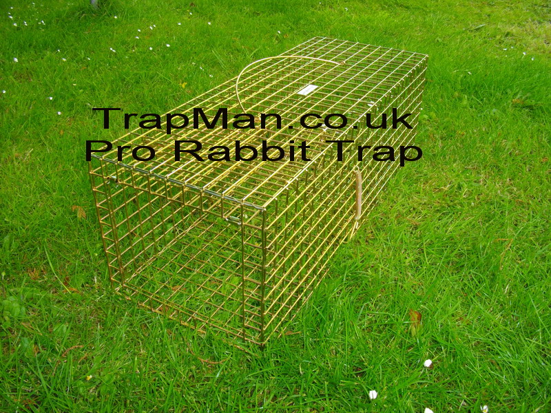 The Trap Man Pro Gold single live catch humane rabbit trap,sprung loaded door lock to prevent rabbits escaping even if the trap tips over.