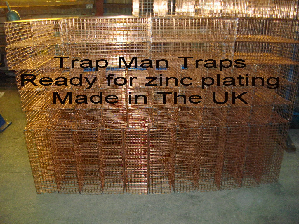 UK made trap man traps awaiting zinc plating