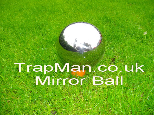 raptor ball mirror