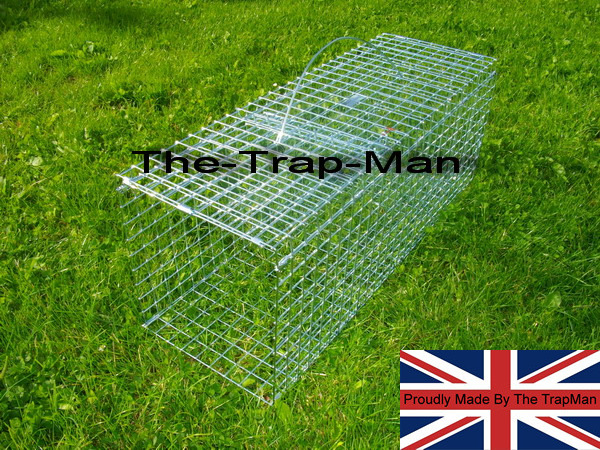 wood pigeon trap in the set position