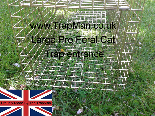 New Large pro feral cat trap much larger cat trap with a rear door, 36" x 11" x 12"