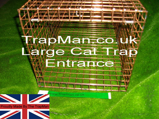 NEW large cat trap entrance