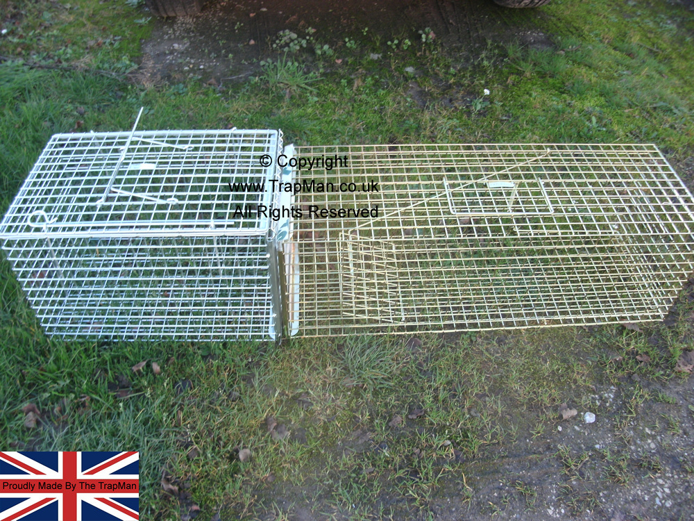 Trap Transfer cage and Pro Gold cat trap