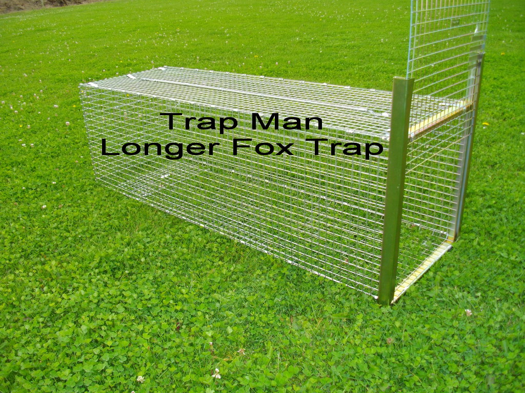 Homemade Fox Traps