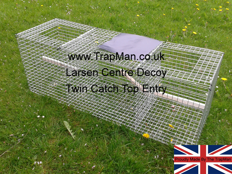 Cheaper twin top entry Magpie trap