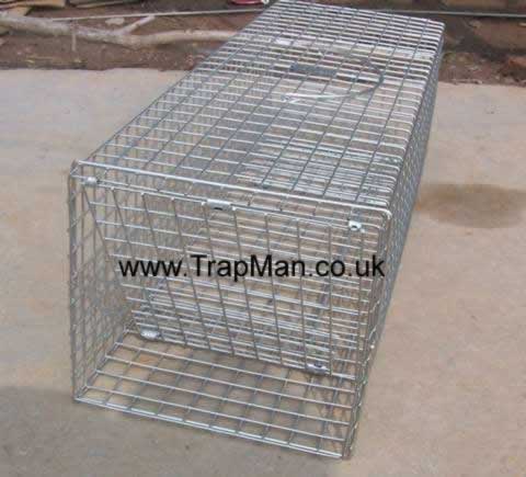 pack of four rabbit traps
