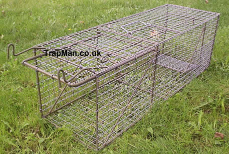 large cat trap set