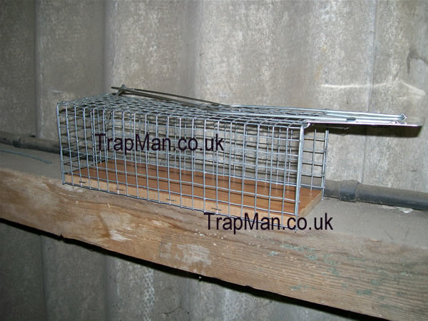 rat trap beam fixing