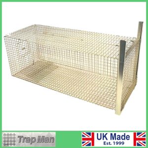 Fox Trap Closed