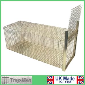 Fox Trap Set with door open at the front of the trap