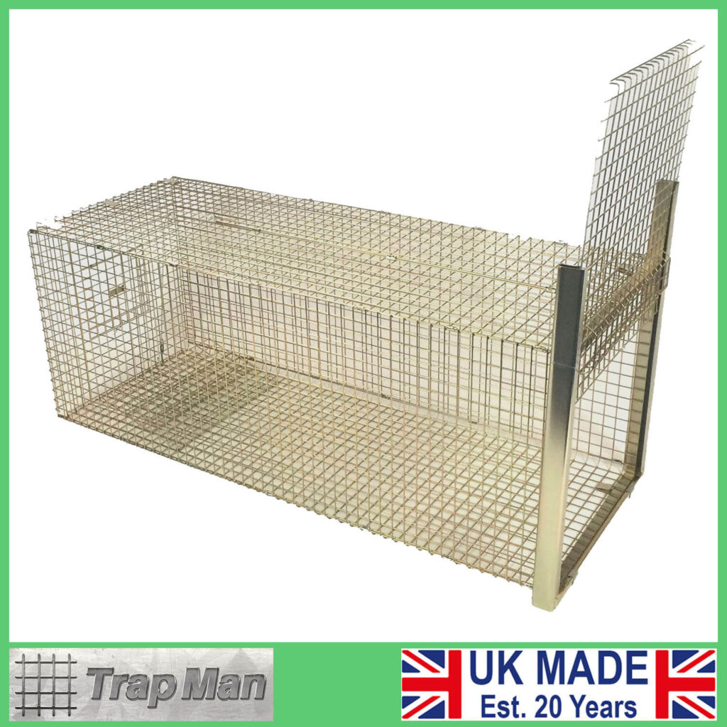 The Trap Man Live catch fox traps are often seen as the only humane ...