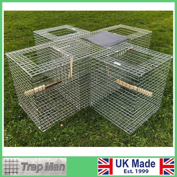 4 Catch larsen Trap built up outside and set for capture