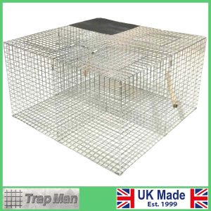 Twin Top Entry Larsen Magpie Trap