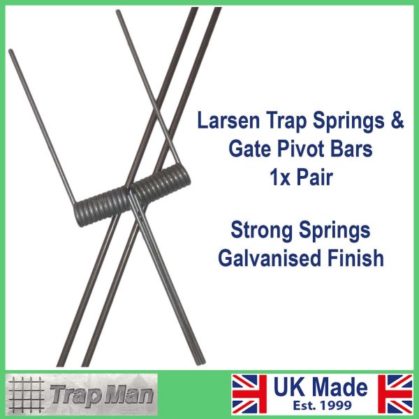 Pair Of Flat Larsen Spring with Pivots