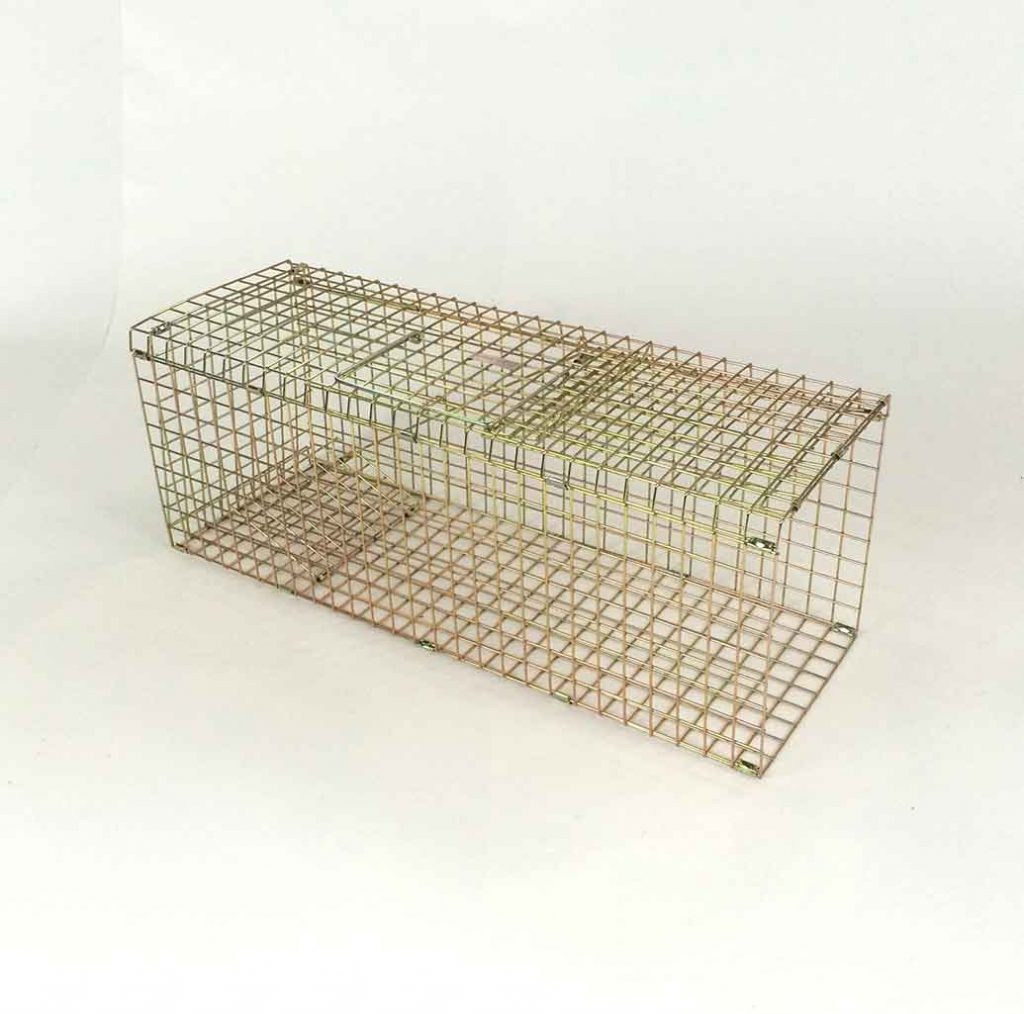 Live capture, humane rabbit traps from the Trap Man, UK suppliers of ...