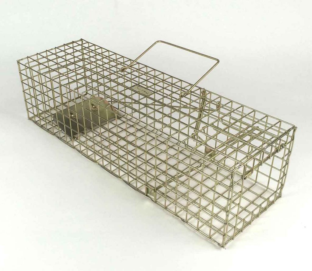 TrapMan multi catch grey squirrel trap UK made squirrel trap