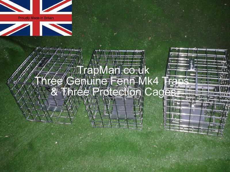three-fenn-traps-and-three-fenn-trap-cages