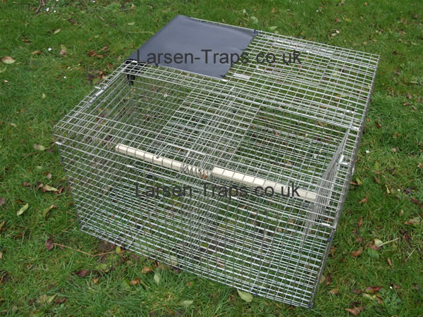 larsen magpie trap top entry