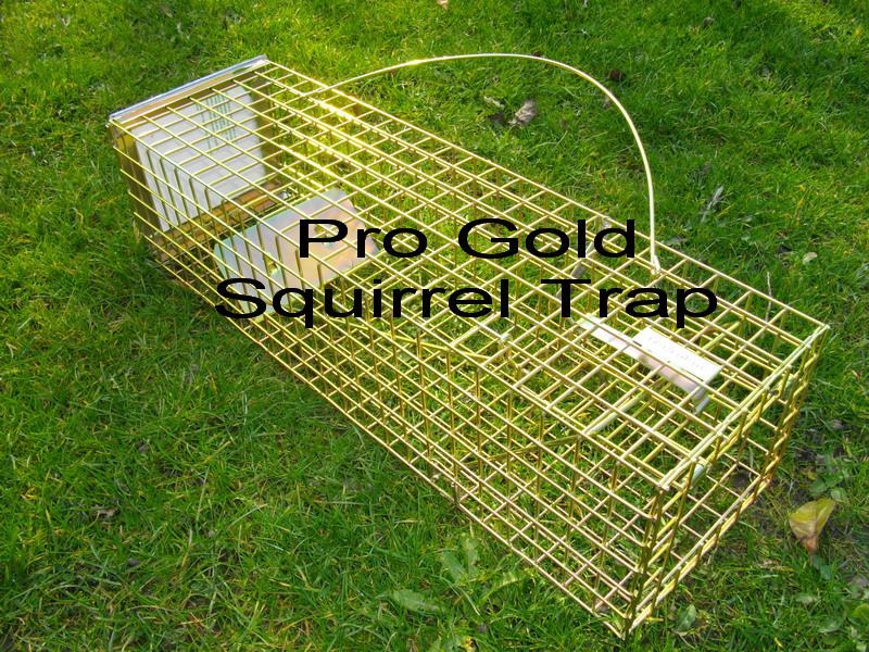 pro gold squirrel trap, when only the best squirrel trap will do!