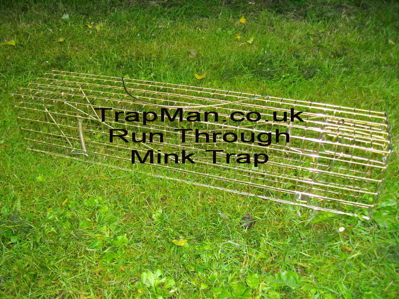 run through mink trap This trap man run through trap requires no baiting, the run through design relies on the mink to enter the tunnel trap during its normal hunt for food. The mink simply steps onto the central treadle plate that triggers both doors to spring shut.