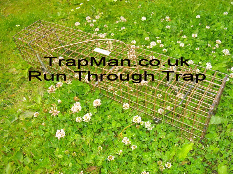 No baiting required with our run through squirrel trap, just set the squirrel trap along a wall, check on it regularly and at least twice a day. 
