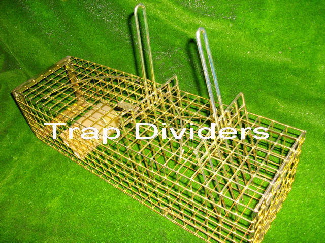 The comb divider can be use to contain the grey squirrel to one end of the cage until dispatch