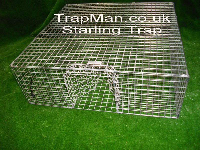 starling trap | multi catch live capture starling trap cage