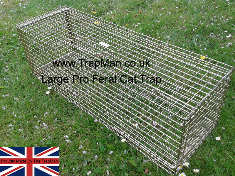 New Large Professional Feral Cat Trap with rear door, Made in England by The TrapMan