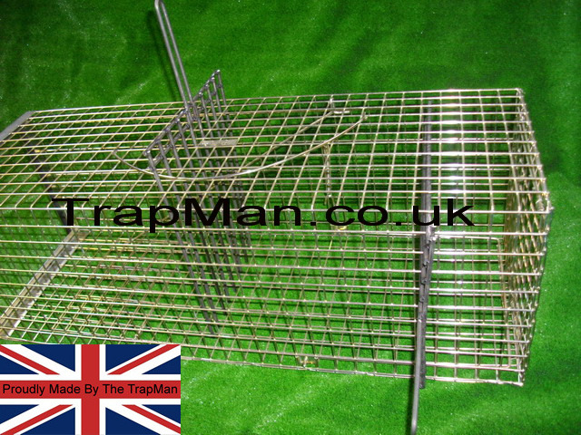 Comb dividers can be used to contain the feral in one part of the trap, these can be used vertically as in the picture above or horizontally as in the picture below