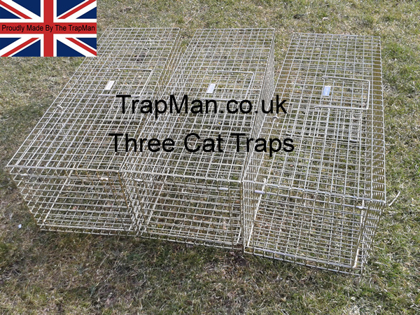 Three Trap Man feral cat traps