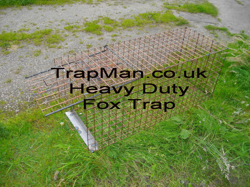 heavy duty fox cage trap