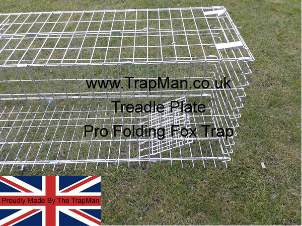 Make sure the fox or other animals do not dig under the trap or move the fox trap to reach the bait by pegging the fox trap down using tent pegs or position it against some immovable object, fence line, wall etc.