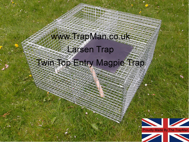 Magpie traps deals